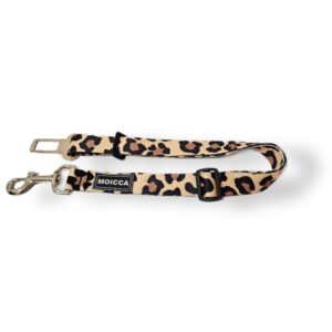 import placeholder for 3017