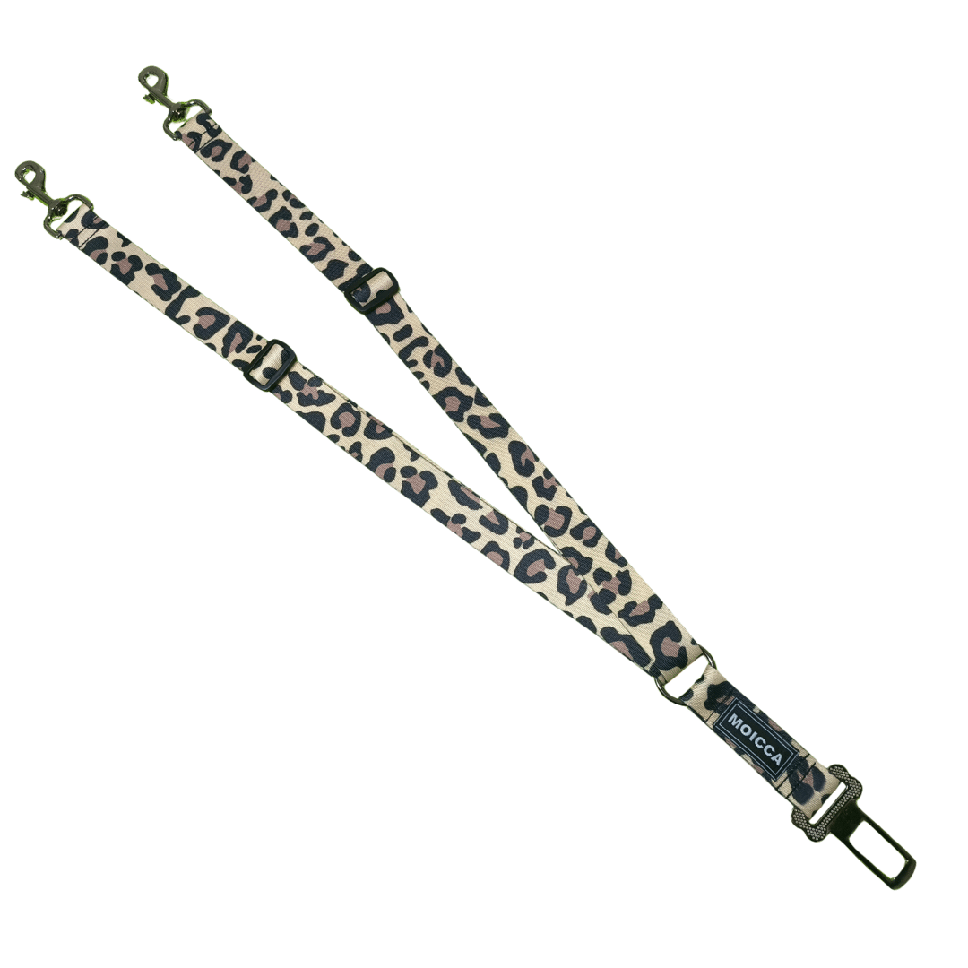 import placeholder for 4043 import placeholder for 4043