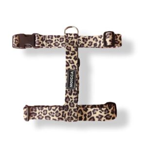 import placeholder for 4061