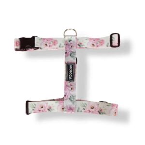 import placeholder for 4109