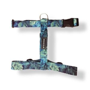 import placeholder for 4115