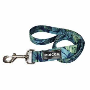 import placeholder for 4045