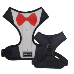 import placeholder for 2781