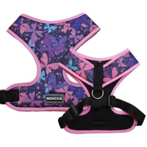 import placeholder for 1828