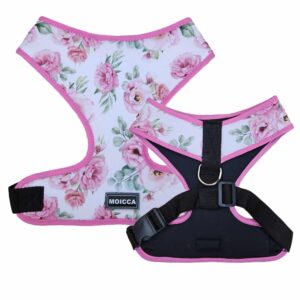 import placeholder for 1834