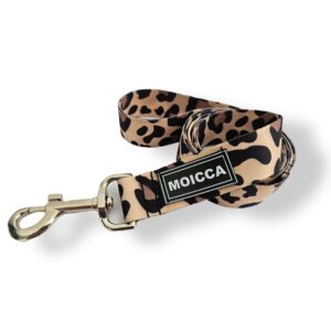 import placeholder for 2069